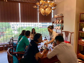 燕語茶館品鑒中心試業(yè) 以茶會友，共赴一場東方美學的時光之約